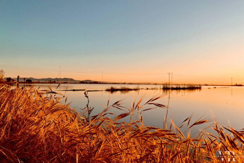 Sunset over flooded rice fields in the Albufera Natural Park