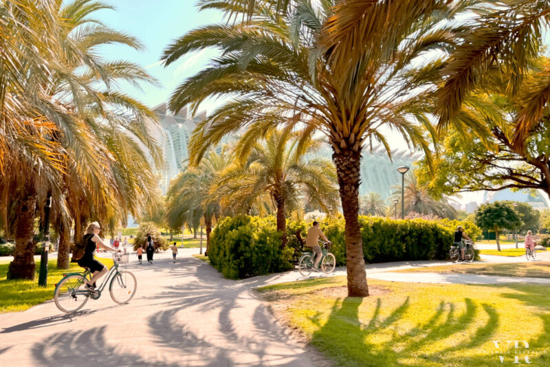 People biking in the shadow of palm trees