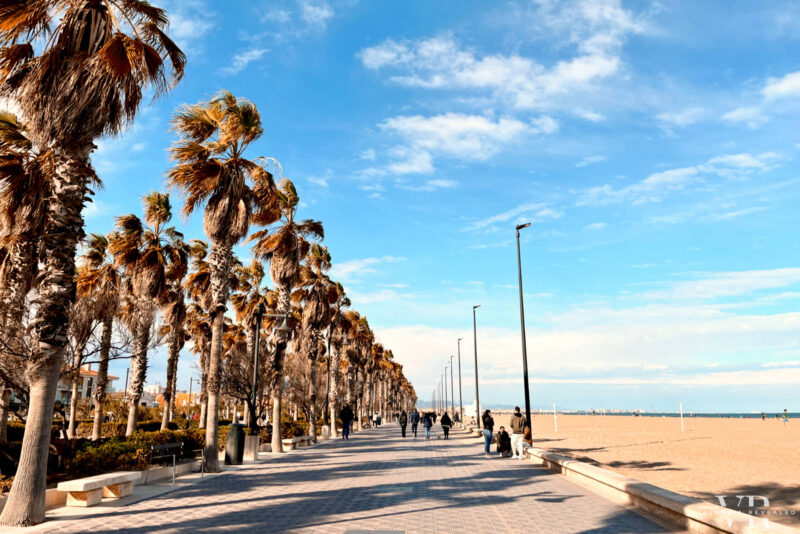Promenade with palm trees on one side and the beach on the other