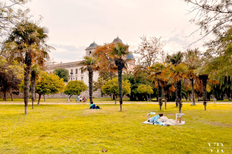 People lounging in Túria Park