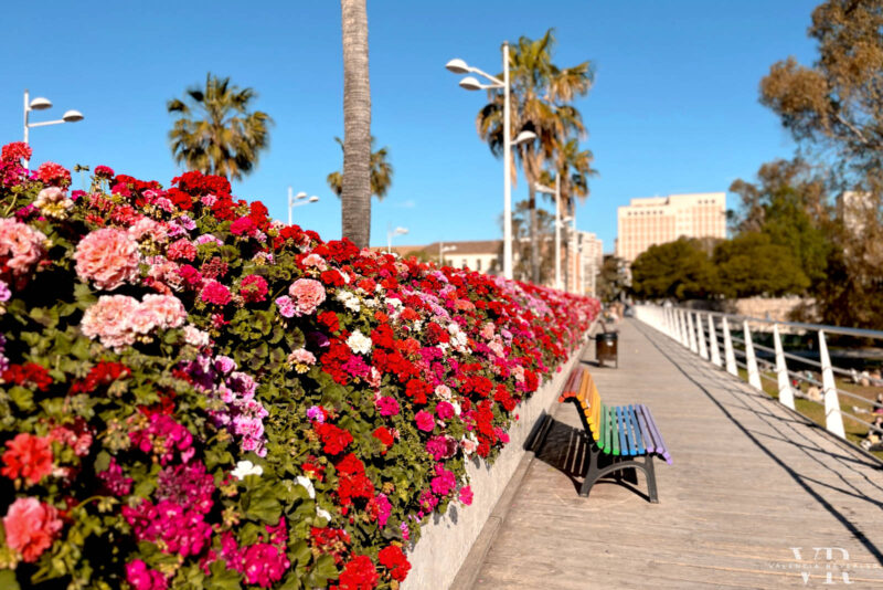 Flower Bridge in Valencia with a bench painted in rainbow colors