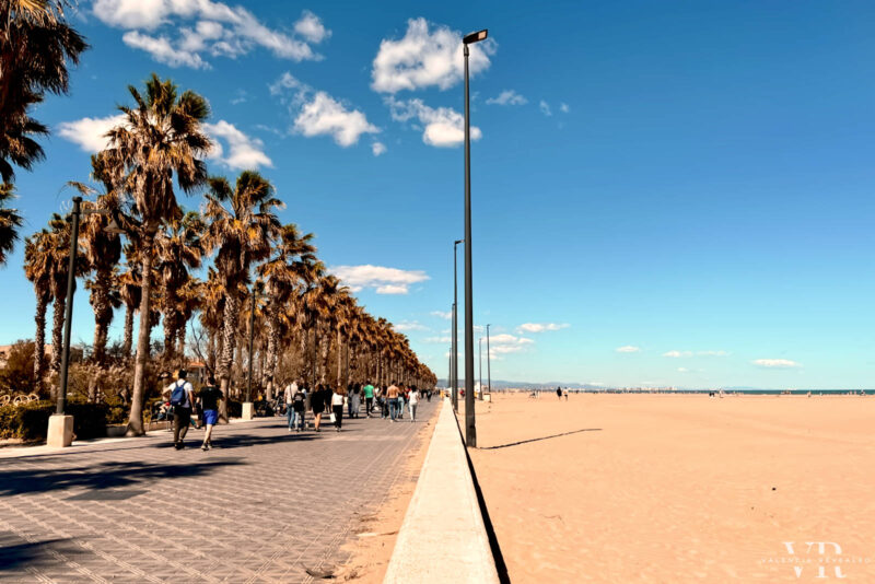 3 Days in Valencia: The Perfect Itinerary (From A Local)