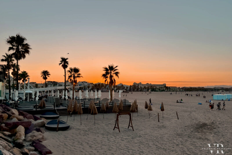 Palm trees and closed beach umbrellas on the beach at sunset