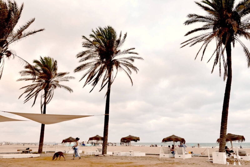 Beach with palm trees and umbrellas