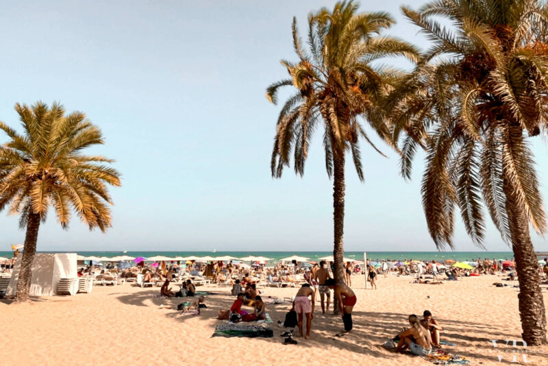 A crowded beach with palm trees 
