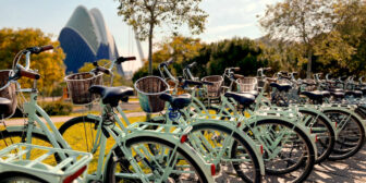 A bunch of rental bikes docked in the park