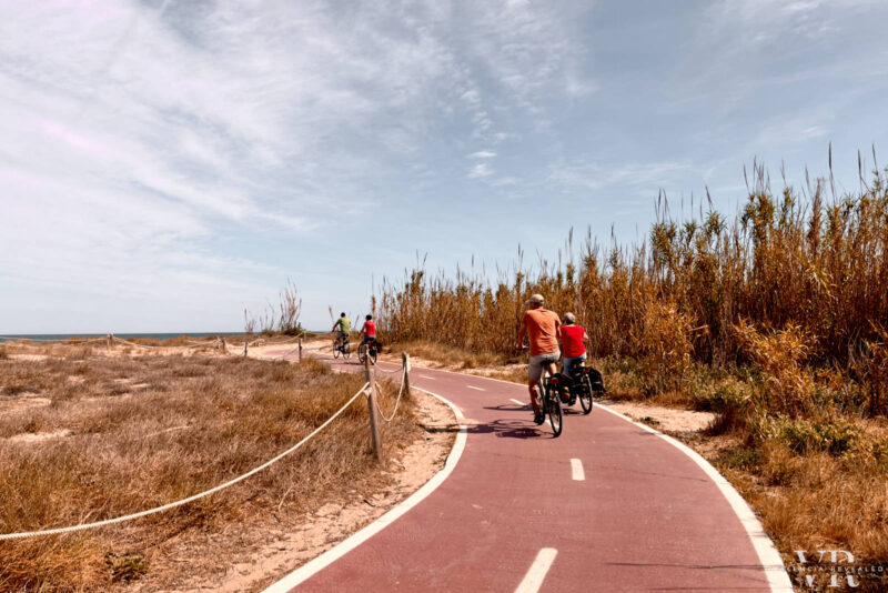 People biking on a bike lane in Albufera Natural Park